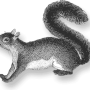 spip_haut